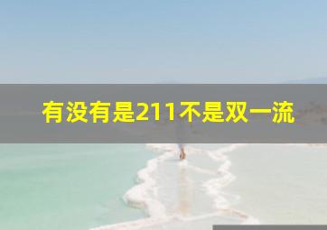 有没有是211不是双一流