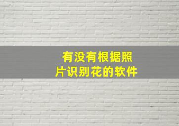 有没有根据照片识别花的软件