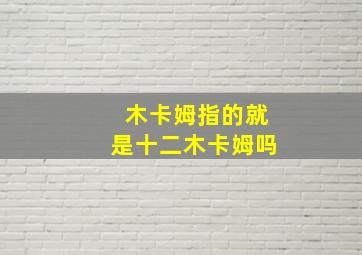 木卡姆指的就是十二木卡姆吗