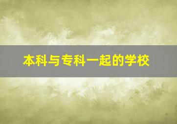 本科与专科一起的学校