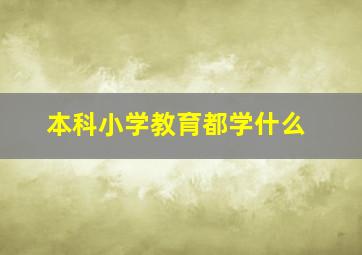 本科小学教育都学什么