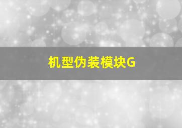 机型伪装模块G