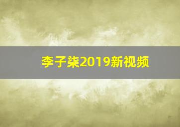 李子柒2019新视频