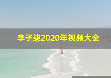 李子柒2020年视频大全