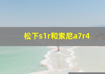 松下s1r和索尼a7r4