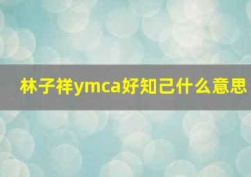 林子祥ymca好知己什么意思