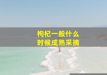 枸杞一般什么时候成熟采摘