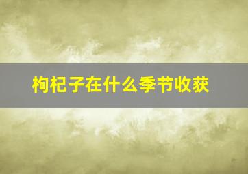 枸杞子在什么季节收获