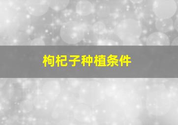 枸杞子种植条件