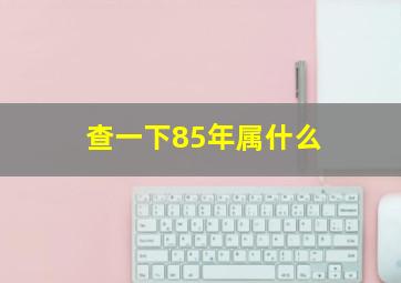 查一下85年属什么