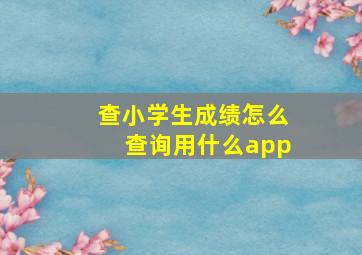 查小学生成绩怎么查询用什么app