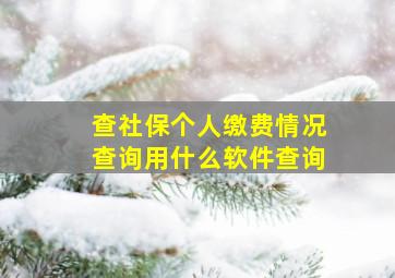 查社保个人缴费情况查询用什么软件查询