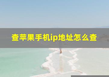 查苹果手机ip地址怎么查