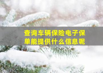 查询车辆保险电子保单能提供什么信息呢