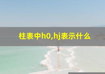 柱表中h0,hj表示什么