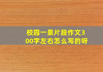 校园一景片段作文300字左右怎么写的呀