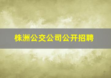 株洲公交公司公开招聘