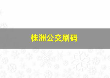 株洲公交刷码