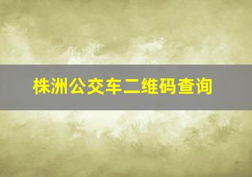 株洲公交车二维码查询