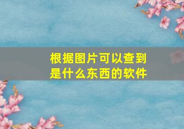 根据图片可以查到是什么东西的软件