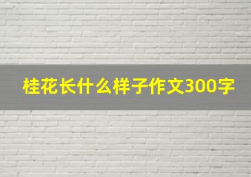 桂花长什么样子作文300字