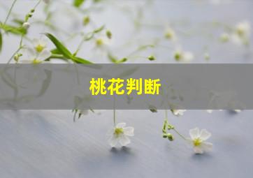 桃花判断