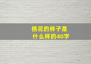 桃花的样子是什么样的40字