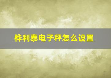 桦利泰电子秤怎么设置