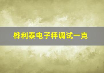 桦利泰电子秤调试一克