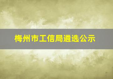 梅州市工信局遴选公示