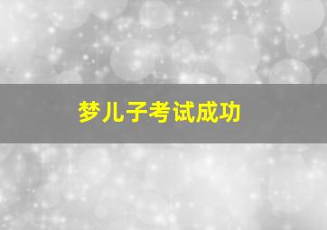 梦儿子考试成功