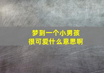 梦到一个小男孩很可爱什么意思啊