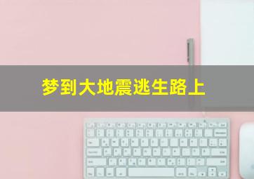 梦到大地震逃生路上