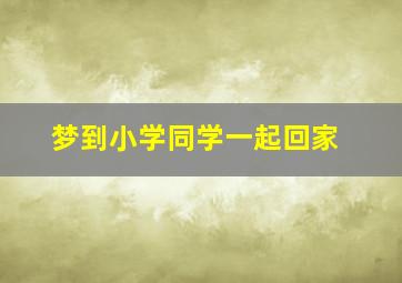 梦到小学同学一起回家