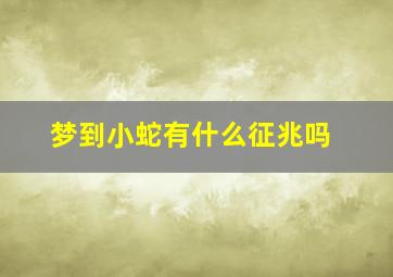 梦到小蛇有什么征兆吗