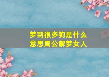 梦到很多狗是什么意思周公解梦女人