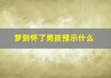 梦到怀了男孩预示什么