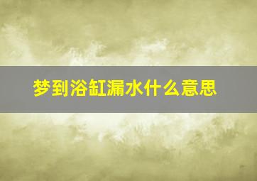 梦到浴缸漏水什么意思