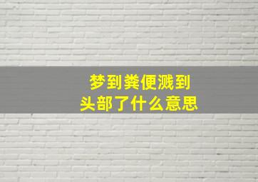 梦到粪便溅到头部了什么意思