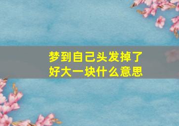 梦到自己头发掉了好大一块什么意思