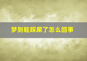 梦到鞋踩屎了怎么回事