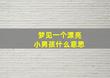 梦见一个漂亮小男孩什么意思