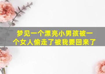 梦见一个漂亮小男孩被一个女人偷走了被我要回来了