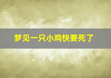 梦见一只小鸡快要死了