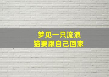 梦见一只流浪猫要跟自己回家