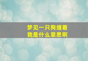 梦见一只狗缠着我是什么意思啊