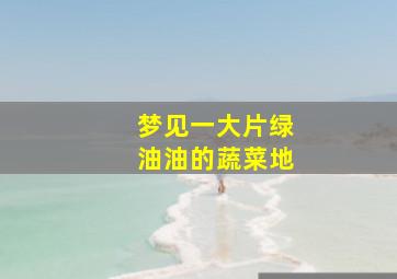 梦见一大片绿油油的蔬菜地