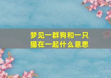 梦见一群狗和一只猫在一起什么意思