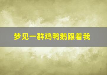 梦见一群鸡鸭鹅跟着我