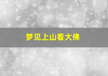 梦见上山看大佛